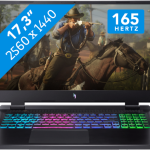 Acer Nitro 17 (AN17-42-R0DQ)
