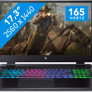 Acer Nitro 17 (AN17-42-R1P4)